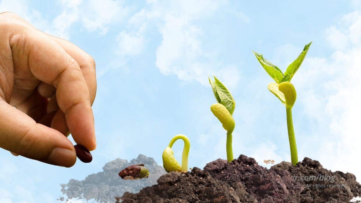 planting seeds that grow